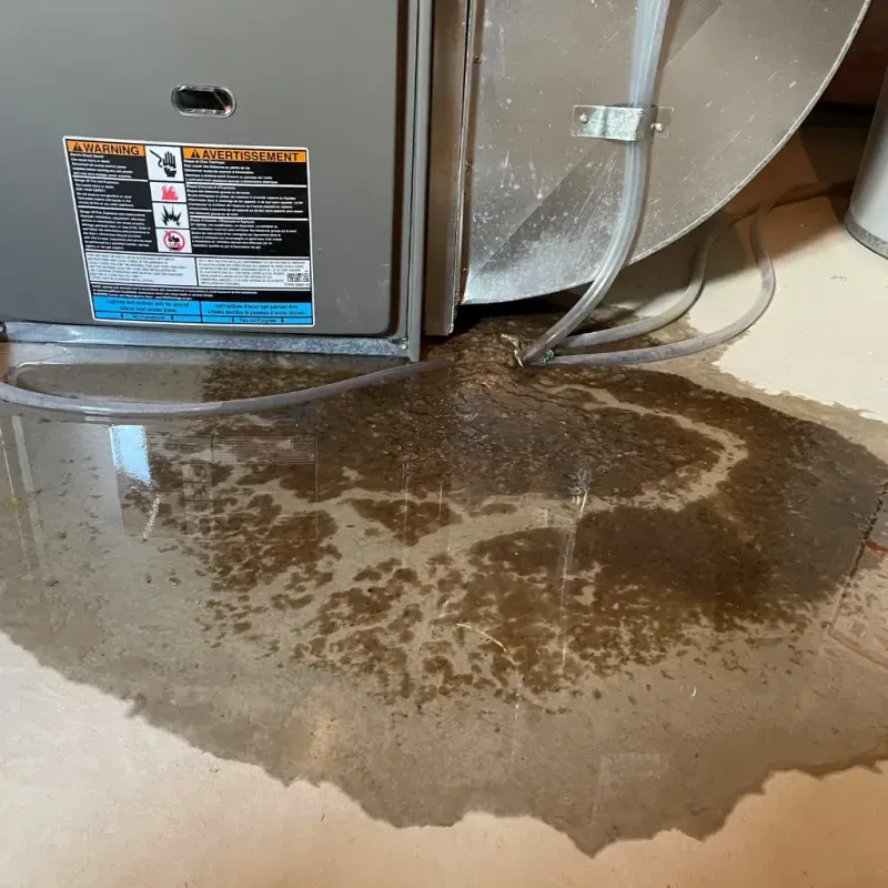 Appliance Leak Cleanup in Brenham, TX